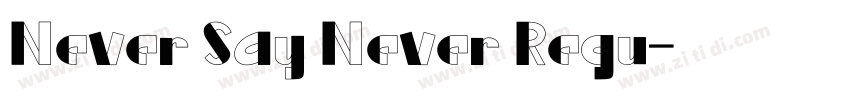 Never Say Never Regu字体转换